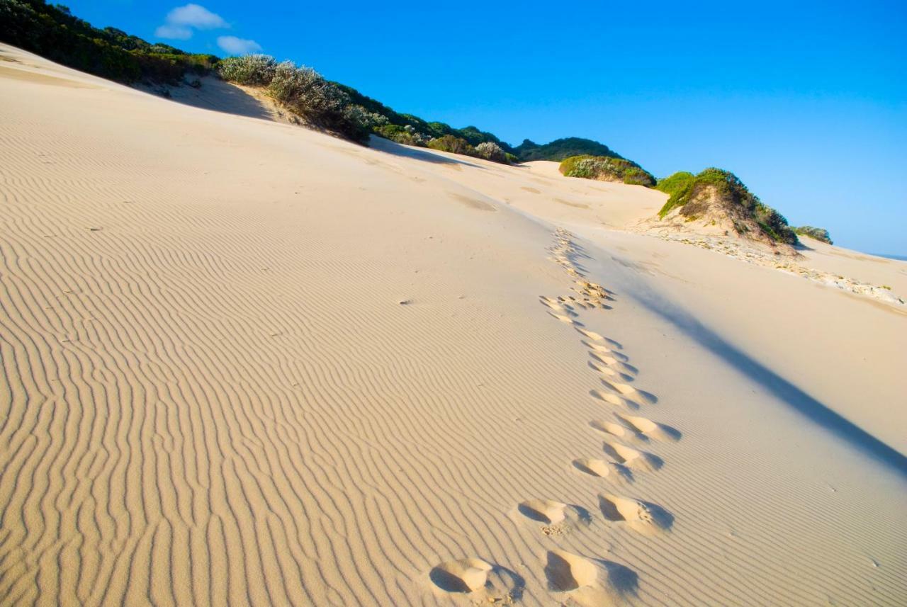 Oceana Beach And Wildlife Reserve Port Alfred Exterior foto